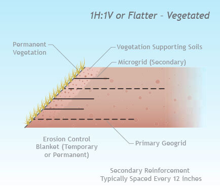 Flatter Vegetated