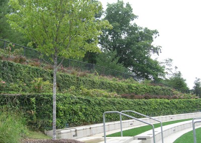 City Park Fencing